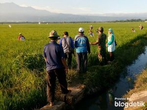 Ratusan Sumur Bor Dibangun di Pasuruan Antisipasi Kekurangan Air Ratusan Sumur Bor Dibangun di Pasuruan Antisipasi Kekurangan Air