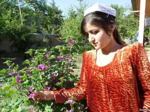 Tragis, Pengantin Wanita Bunuh Diri karena Dipaksa Suami Tes Keperawanan