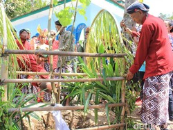 Ngarak Dadap, Ritual Warga Dlingo Bantul Menjaga Mata Air