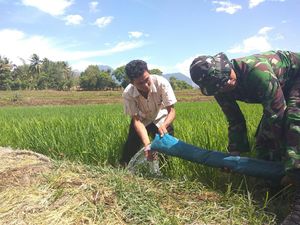 Kemarau Panjang, Warga di Aceh Besar Aliri Sawah Pakai Pompa Air