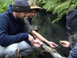 Cemari Sungai, Perusahaan Tambang Australia Didenda Rp 10 Miliar