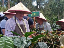 Ketika Bule Eropa Lahap Menyantap Pecel Pitik