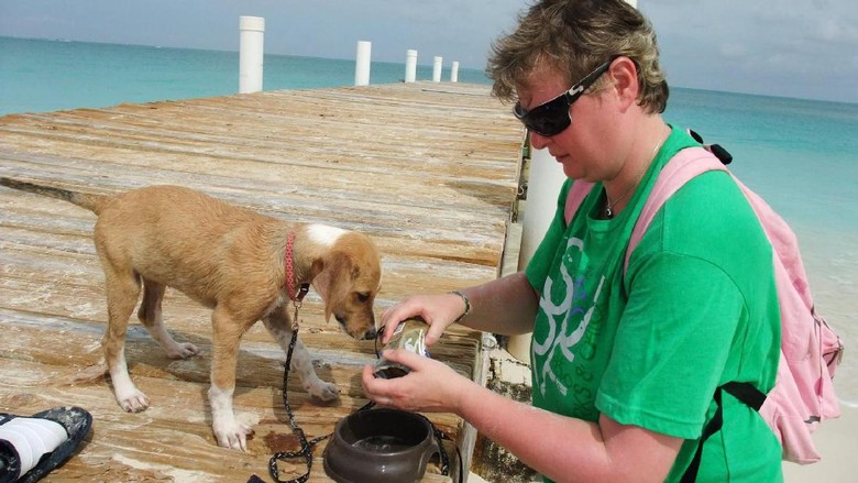 Foto: (Potcake Place K-9 Rescue/Facebook) Foto: (Potcake Place K-9 Rescue/Facebook)