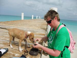 Mungkin Ini Pantai Terbaik Bagi Pecinta Binatang
