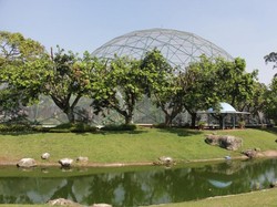 Weekend Seru di Taman Burung TMII