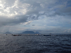Keseruan Tim 7 Wonders Mancing Cakalang di Laut Maluku Utara