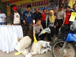 Pencuri Kambing Ditembak Mati Usai Bacok Polisi