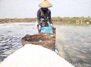 RI Pantainya Panjang, Tapi Garam Langka dan Impor