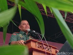 Kata Panglima Soal Penjelasan Wiranto Tentang Pembelian Senjata BIN