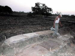 Stabilkan Harga Cabai, Pemkab Pasuruan Dorong Ibu-ibu Tanam di Rumah