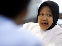 Risma Masuk Radar PAN di Pilgub Jatim