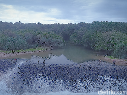 Melacak Robot dan Rawing di Ujung Kulon (2)