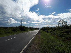 Menyusuri Palangka Raya, Calon Ibu Kota Baru RI