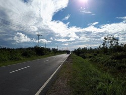 Menyusuri Palangka Raya, Calon Ibu Kota Baru RI