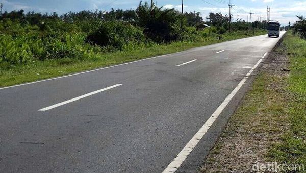 Mengintip Jalan Mulus di Calon Ibu Kota RI Palangka Raya