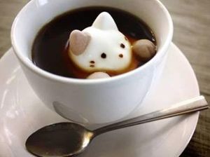 Wouw! Ada Kucing Lucu Berendam di Dalam Cangkir Kopi Wouw! Ada Kucing Lucu Berendam di Dalam Cangkir Kopi