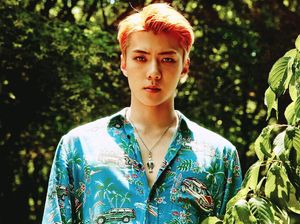 Ini Teaser Foto Album Baru EXO