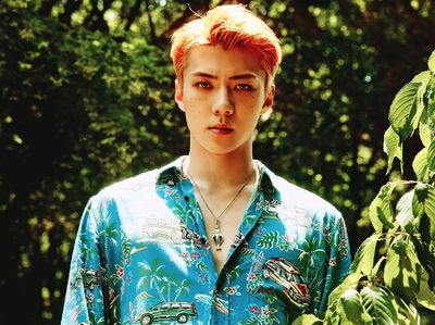 Ini Teaser Foto Album Baru EXO