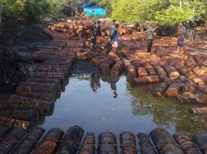 Norisam Hilang Diterkam Buaya saat Susun Batang Sagu di Sungai