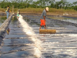 Permintaan Meningkat, Sentra Garam di Probolinggo Kehabisan Stok