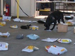 Banyak Pengiriman Narkoba di Australia Lewat Pos