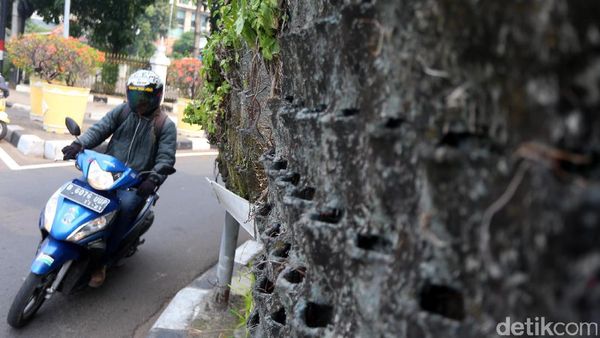 Sedih, Taman Vertikal Nan Cantik Ini Tidak Terurus