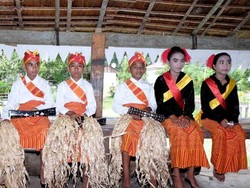 Berkunjung ke Desa Budaya Sasadu di Halmahera Barat