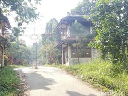 Anggaran Rp 2 Miliar Dikucurkan Menata Taman Buah dan Burung Jeru