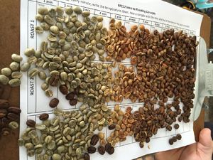 Kopi di Humbang Hasundutan Sudah Diekspor ke Amerika, Jerman dan Korea Kopi di Humbang Hasundutan Sudah Diekspor ke Amerika, Jerman dan Korea