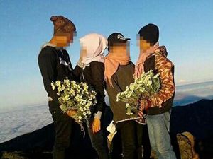 Heboh, Pendaki Ndeso Memetik Edelweiss di Rinjani Heboh, Pendaki Ndeso Memetik Edelweiss di Rinjani