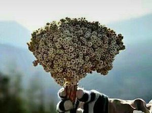 Catat! Hal Ini Bisa Bikin Kamu Di-Blacklist di Rinjani