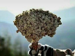 Catat! Hal Ini Bisa Bikin Kamu Di-Blacklist di Rinjani