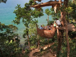 Serunya Bersantap Sambil Liat Pemandangan Hutan di Ketinggian 5 Meter!