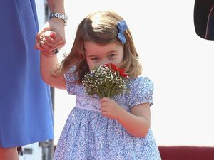 Siapa yang Mau Menemani Putri Charlotte Bermain? Siapa yang Mau Menemani Putri Charlotte Bermain?