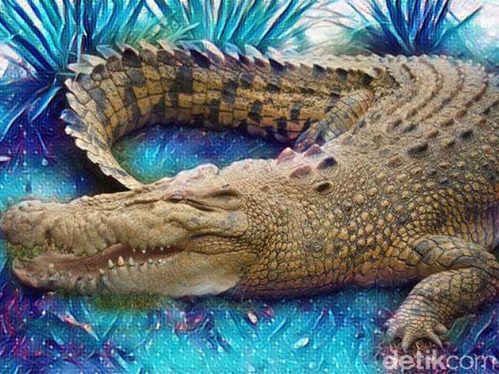 7 Kasus Manusia Diterkam Buaya yang Bikin Geger 7 Kasus Manusia Diterkam Buaya yang Bikin Geger