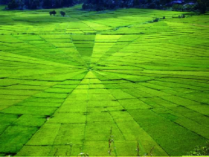 Begini Pemandangan Indah yang Dilewati Peserta Tour de Flores 2017