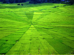 Begini Pemandangan Indah yang Dilewati Peserta Tour de Flores 2017