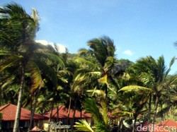 Penderes Kelapa Tak Bisa Turun, Ternyata Terkena Stroke