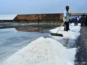 Pemerintah Jamin Garam Impor Tak akan Rembes ke Pasar Pemerintah Jamin Garam Impor Tak akan Rembes ke Pasar