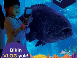 Buat Vlog Kece dan Seru, Ayo ke Jakarta Aquarium!