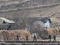 Korut Terancam Kekeringan Terparah dalam 16 Tahun Terakhir