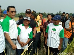 Ketua HKTI Moeldoko Pamer Panen Padi M400 di Jombang