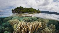 10 Destinasi Wisata Terbaik Dunia 2025 Versi Natgeo, Indonesia Masuk