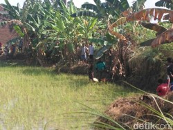 Tega! Bayi Berumur 2 Hari ini Dibuang di Sawah