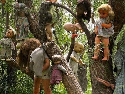 Foto: 5 Hutan Paling Berhantu di Dunia