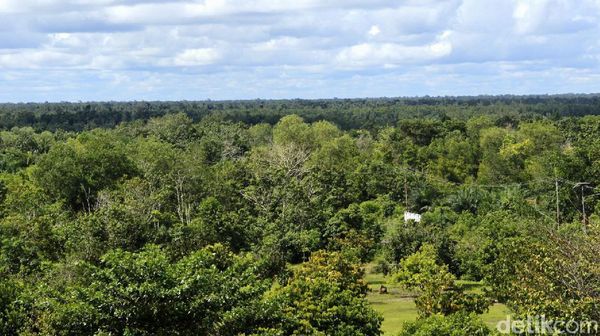 Inikah Calon Lokasi Ibu Kota Baru RI?