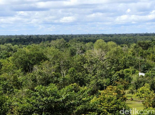 Inikah Calon Lokasi Ibu Kota Baru RI?