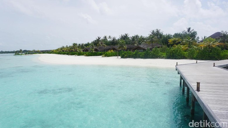 Foto: Pantai di Maldives yang bersih nan cantik (Afif/detikTravel) Foto: Pantai di Maldives yang bersih nan cantik (Afif/detikTravel)
