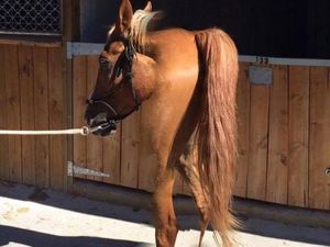 Foto Panorama Gagal yang Unik dan Menggelitik