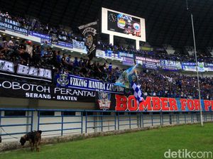 Respons Panpel Persib soal Stadion GBLA Tak Bisa Dipakai Respons Panpel Persib soal Stadion GBLA Tak Bisa Dipakai